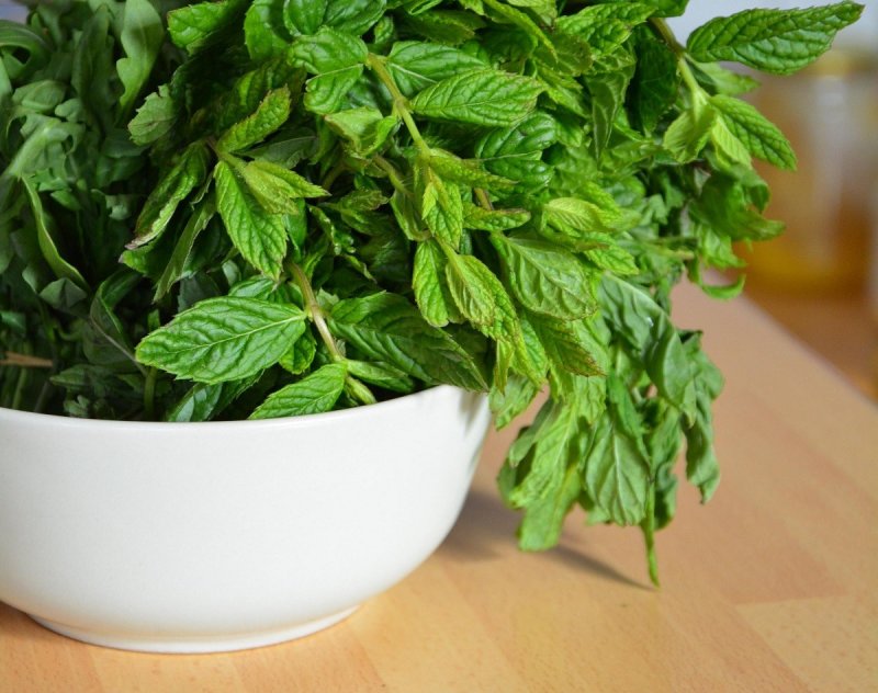 Мята яблочная (Apple Mint)