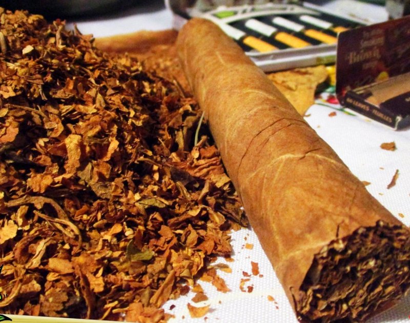 Листья табака для сигар