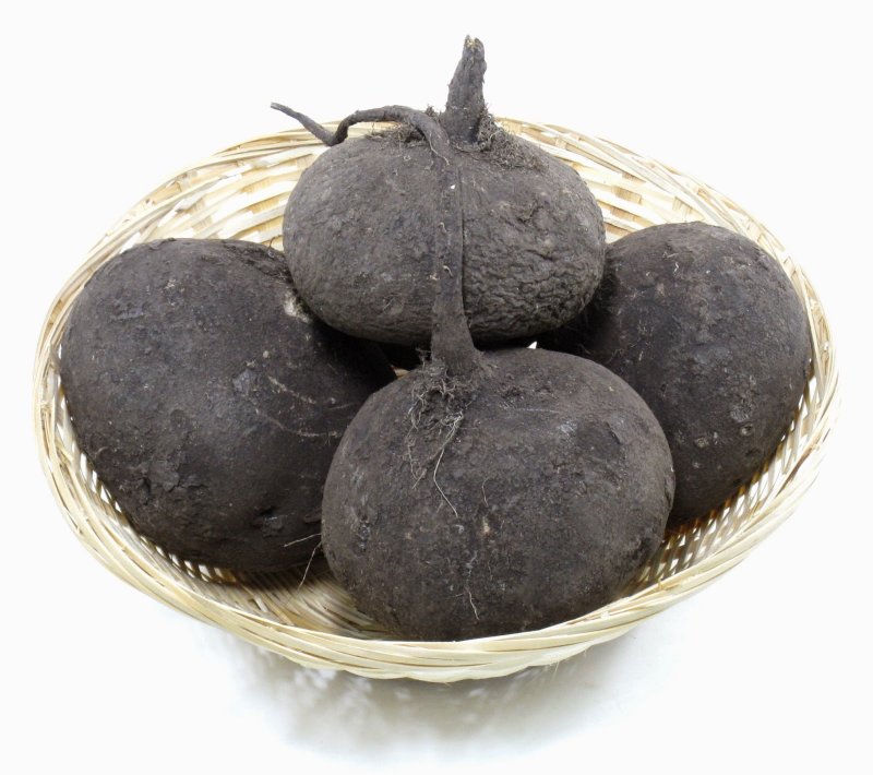 Редька черная зимняя