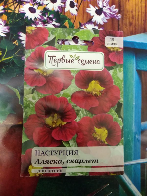Семена настурция Аляска