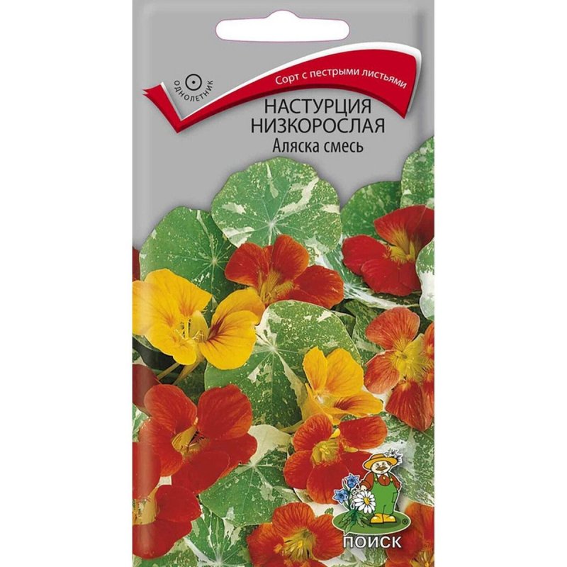 Настурция Аляска Гавриш ц