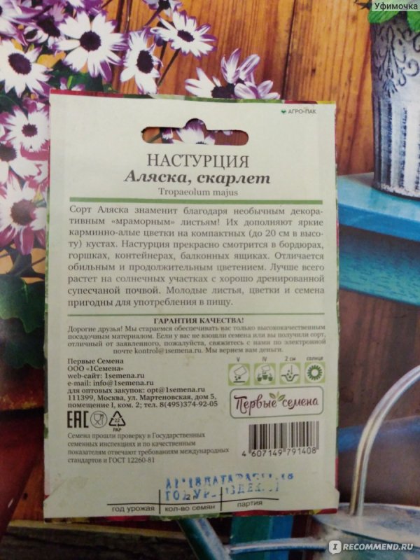 Настурция сорт Аляска от белокрылки