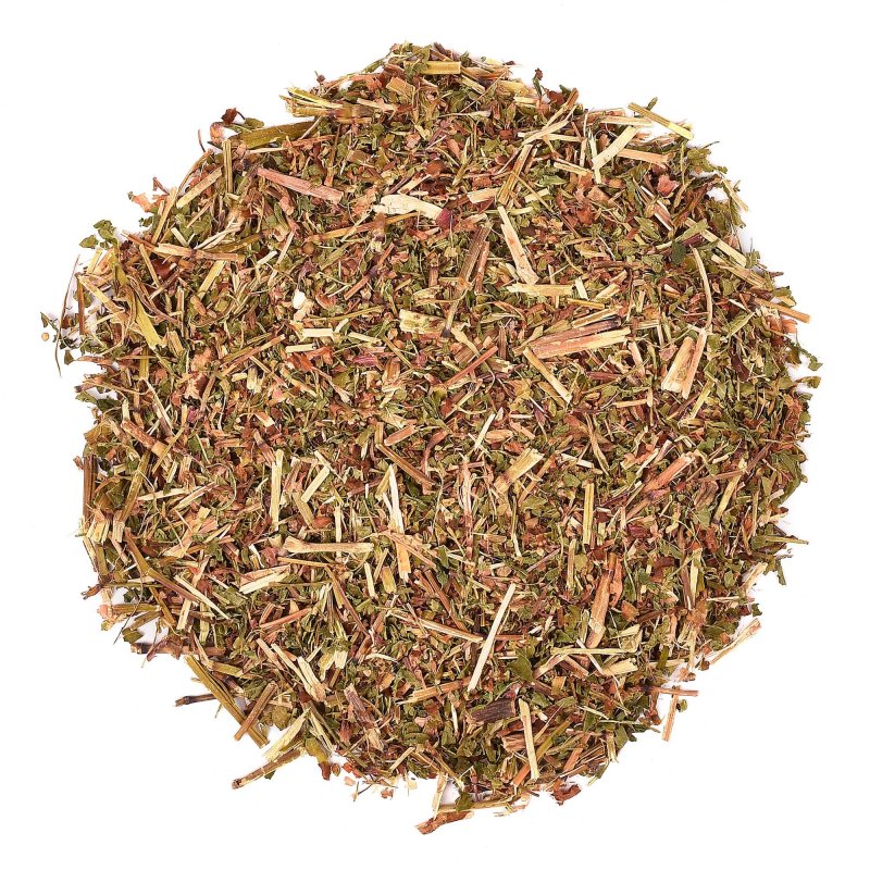 Persicaria maculosa Горец пятнистый