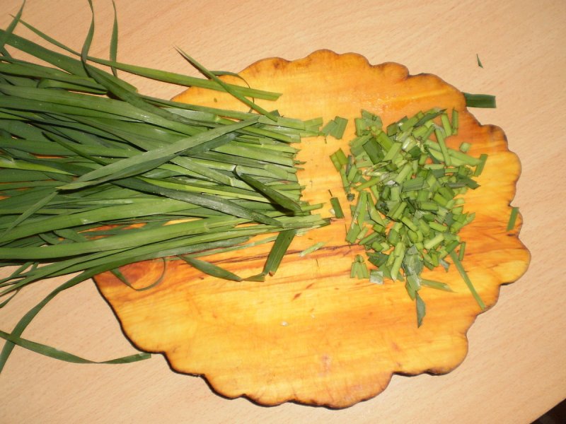 Thinopyrum Intermedium