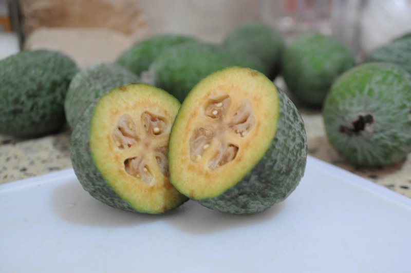 Фейхоа куст