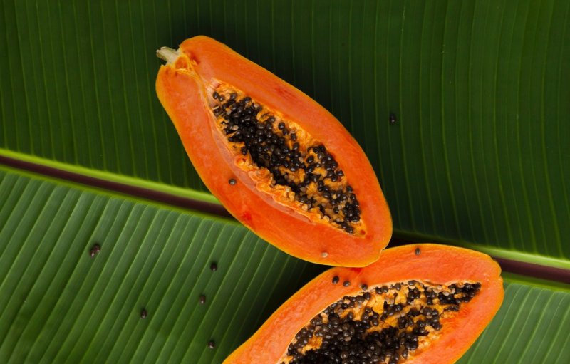 Папайя (Papaya)