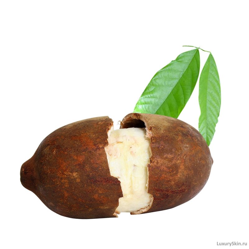 Купуасу размер