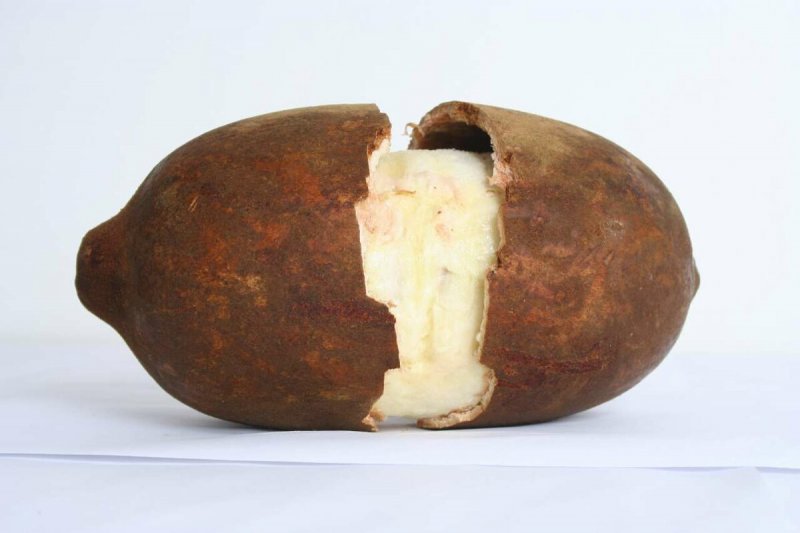 Масло купуасу