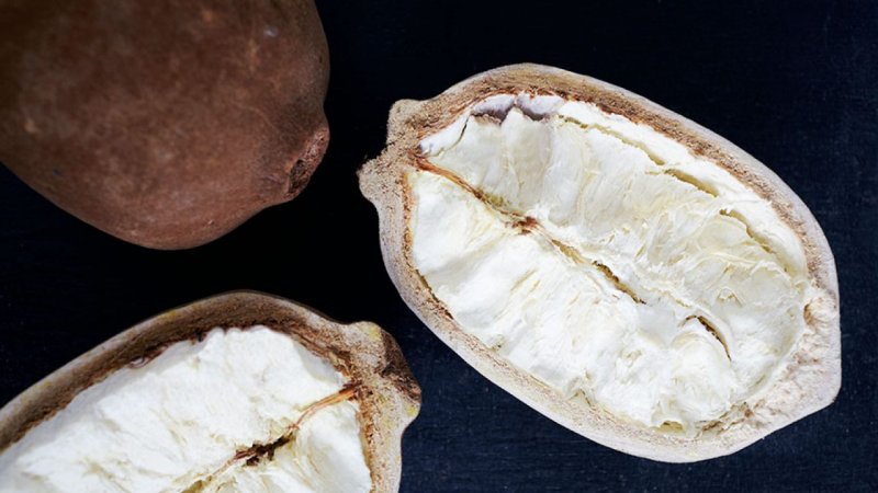 Theobroma grandiflorum