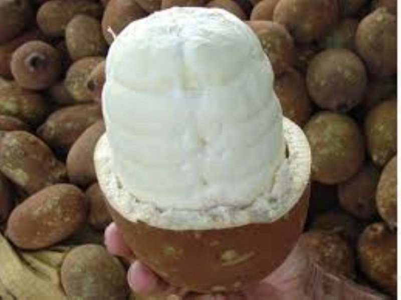 Необычные продукты купуасу