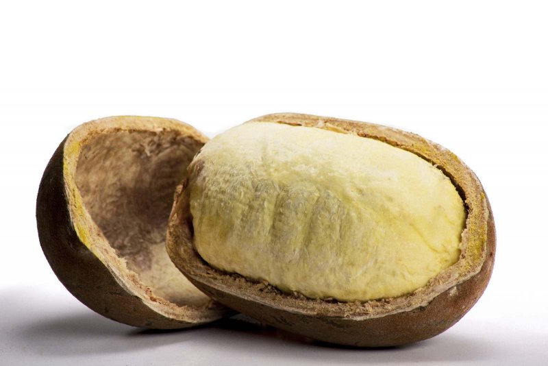 Купуасу плод
