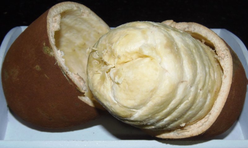 Купуасу фрукт