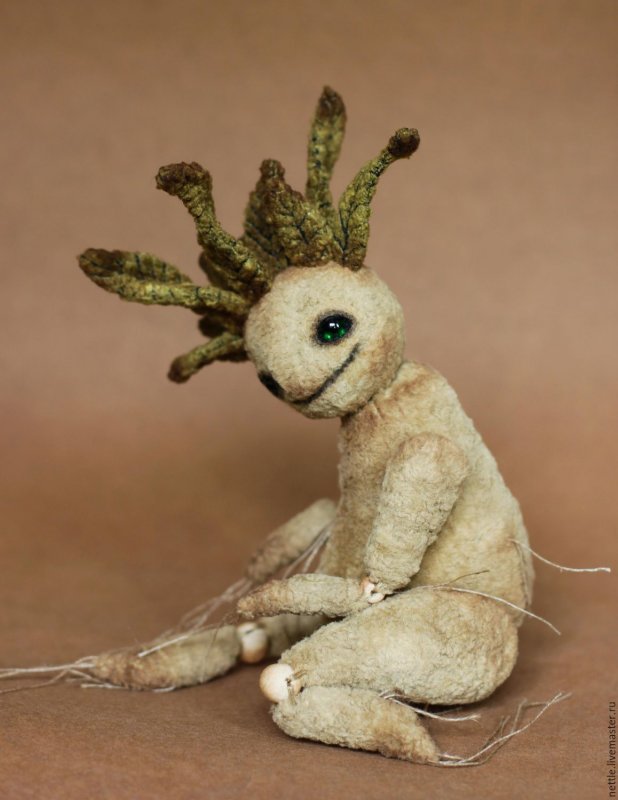 Корень Мандрагоры