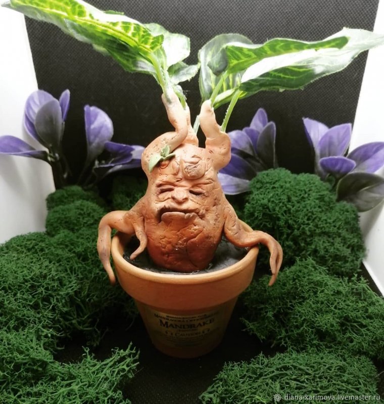 Мандрагора игрушка