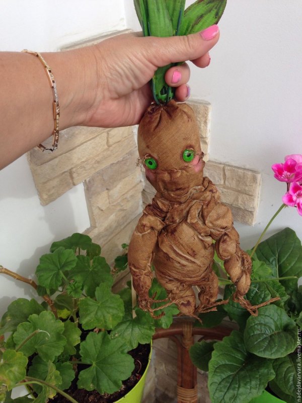Корень Мандрагоры
