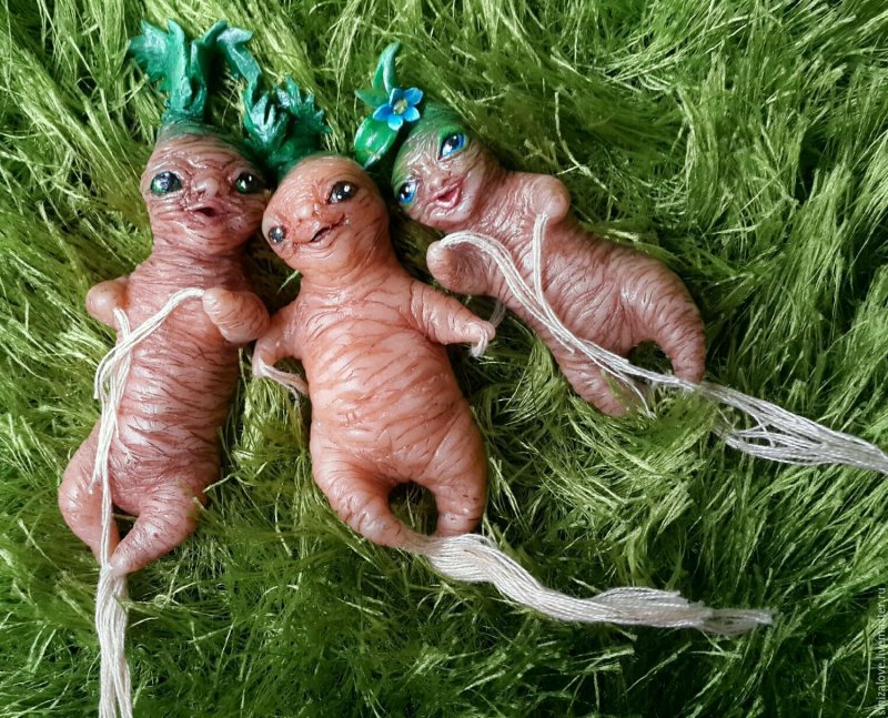 Корень Мандрагоры