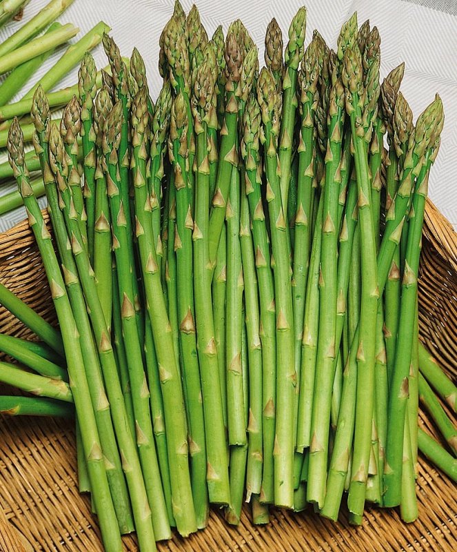 Asparagus спаржа