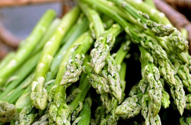 Аспарагус/спаржа (Asparagus