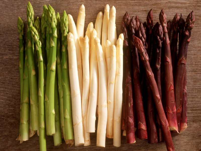Asparagus officinalis спаржа лекарственная