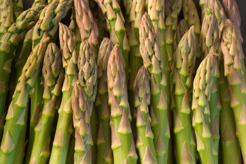 Аспарагус/спаржа (Asparagus