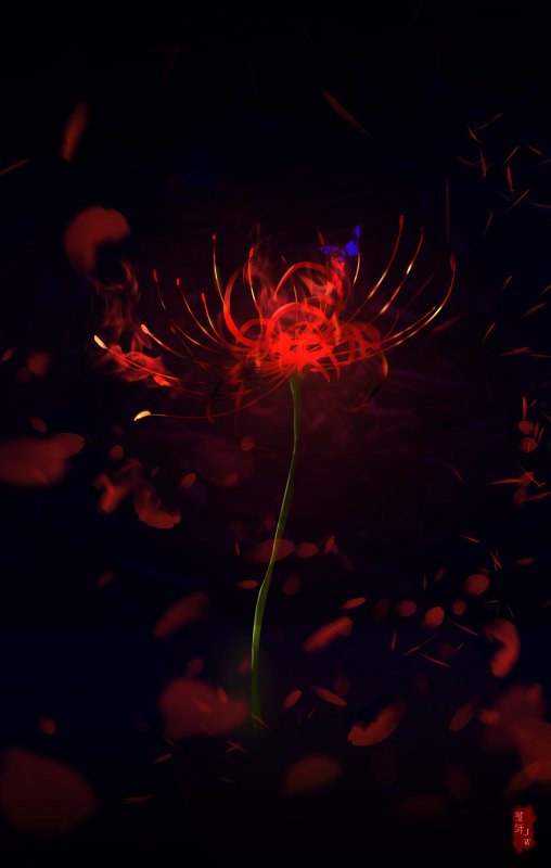 Ликорис чешуйчатый (Lycoris squamigera
