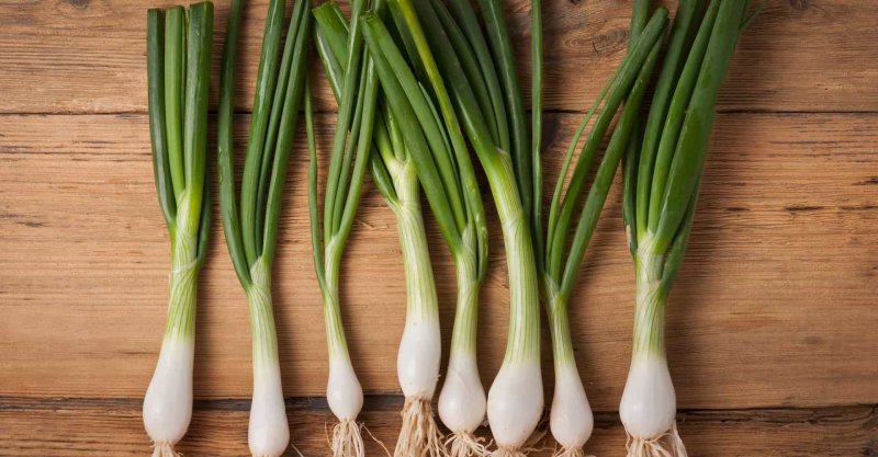 Аллиум (Allium) giganteum