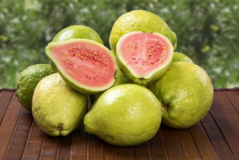 Psidium guajava (гуава, псидиум)