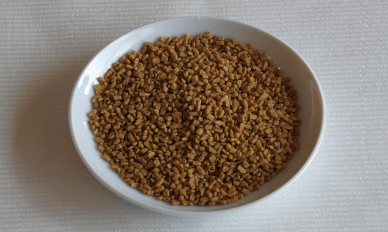 Пажитник семена кустарников