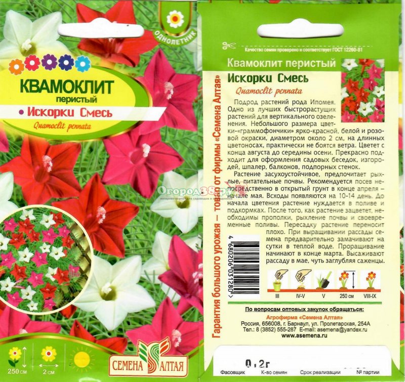 Ипомея Квамоклит рассада