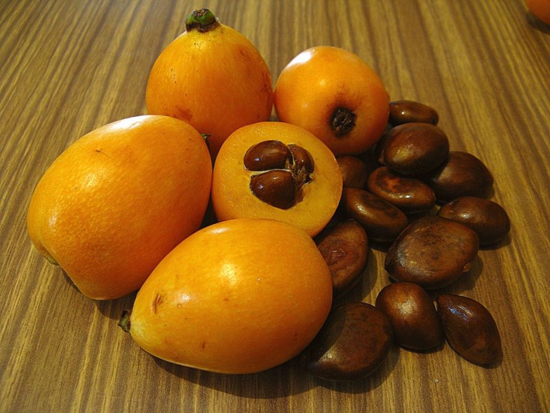 Оранжевый фрукт мушмула