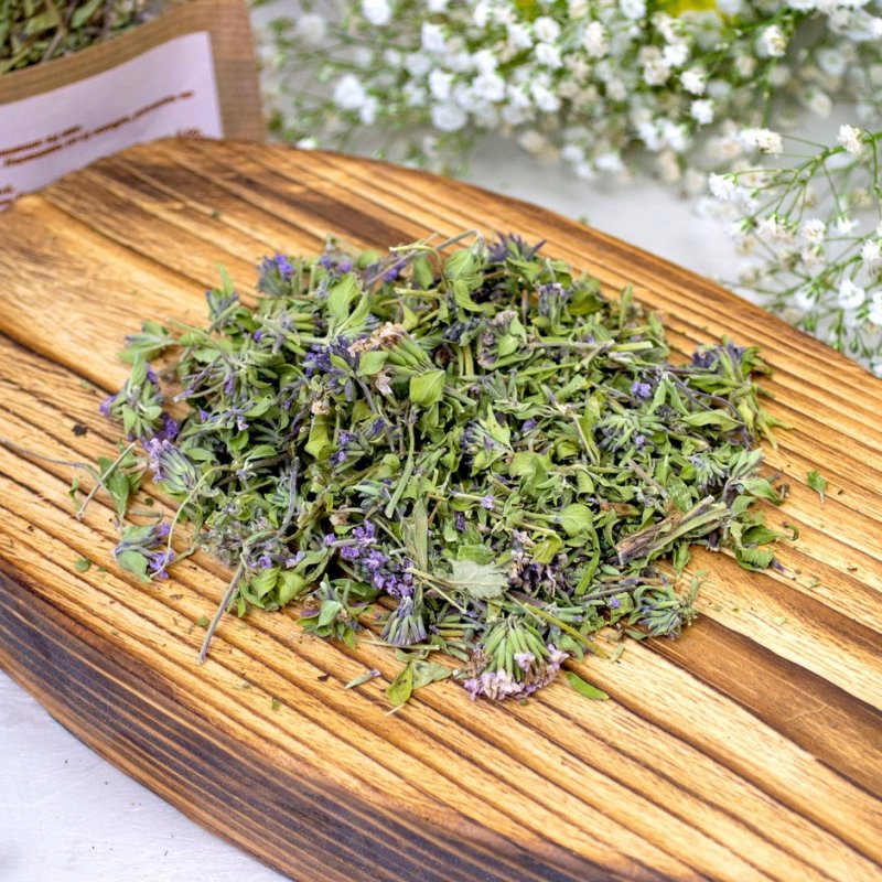 Тимьян ползучий (Thymus serpyllum 'magiс Carpet')