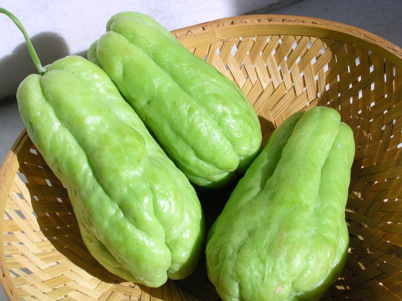 Мексиканский овощ чайот
