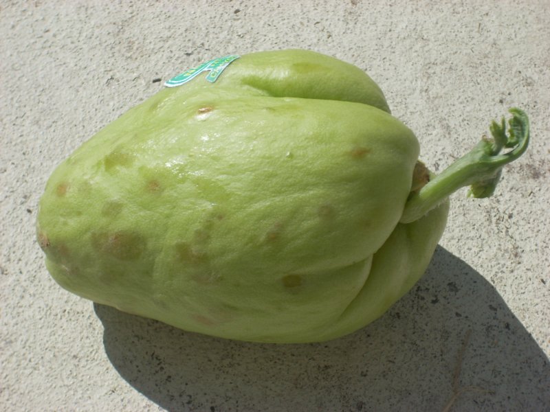 Чайот клубни