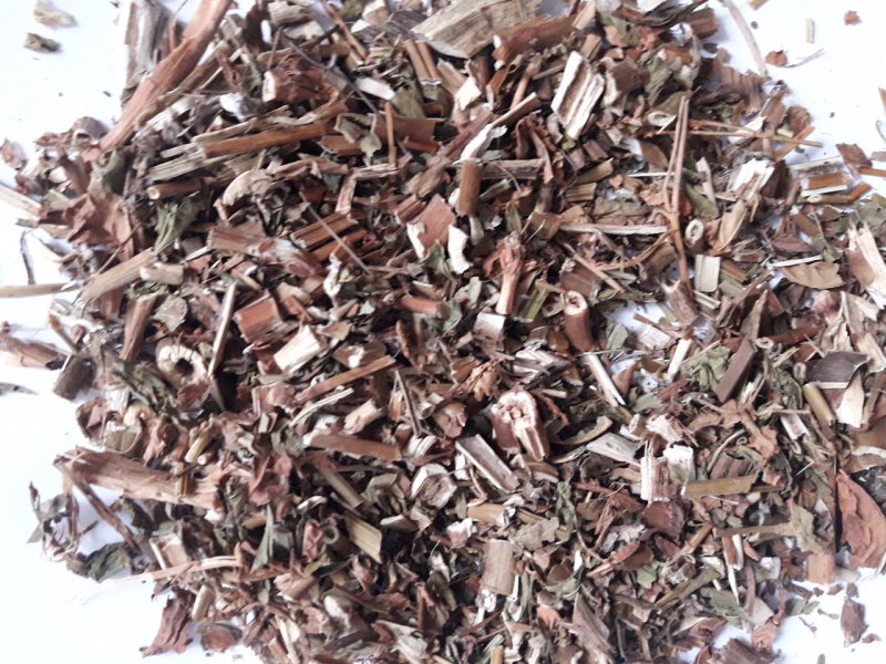 Горец Земноводный (Persicaria)