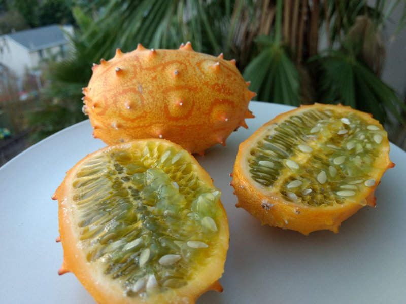 Кивано маракуйя