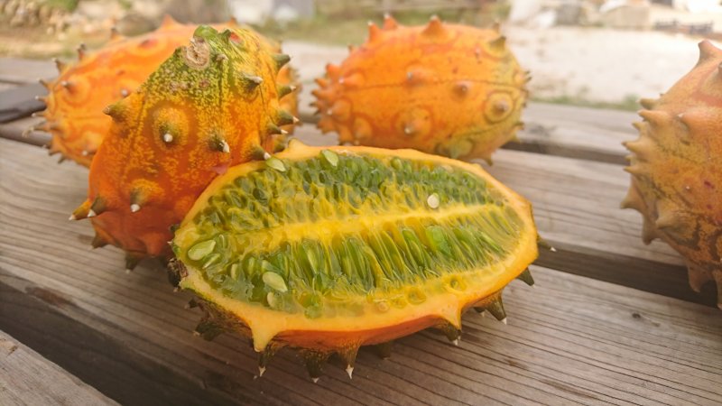 Кивано зеленый дракон