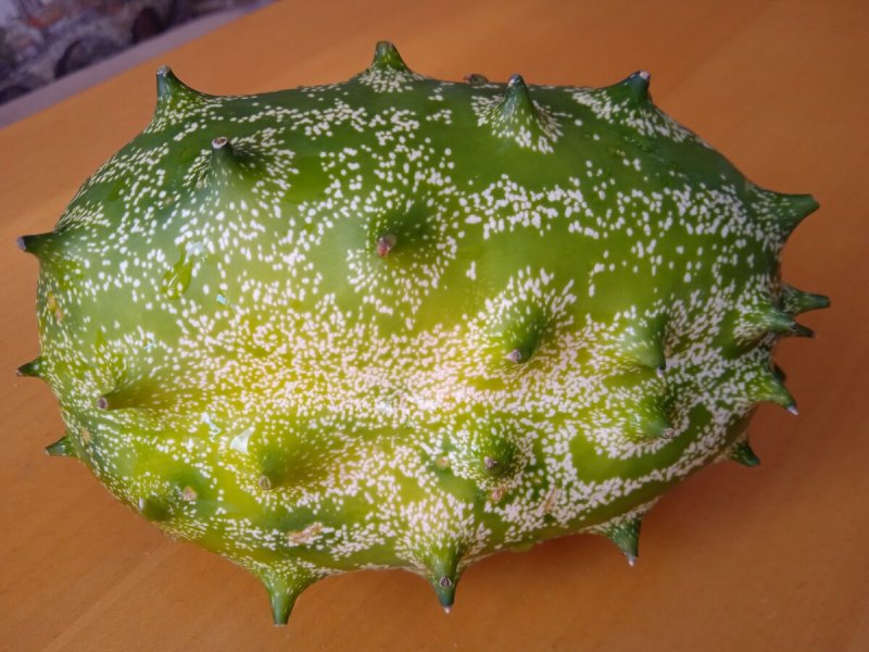 Киви кивано