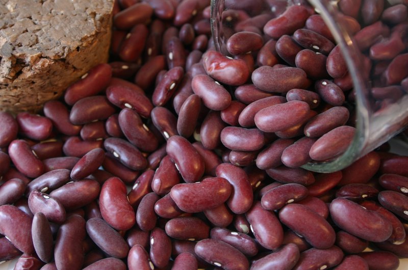 Красная фасоль зерновая кустовая семена