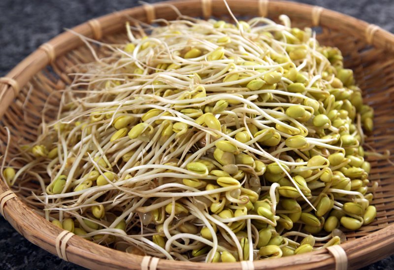 Пророщенные ростки сои