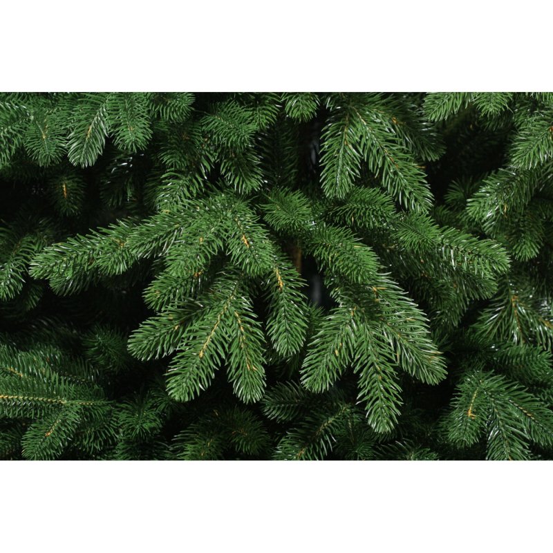 Ель колючая ф зеленая