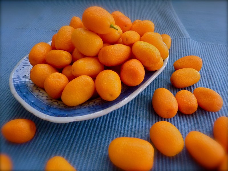 Кинкан кумкват