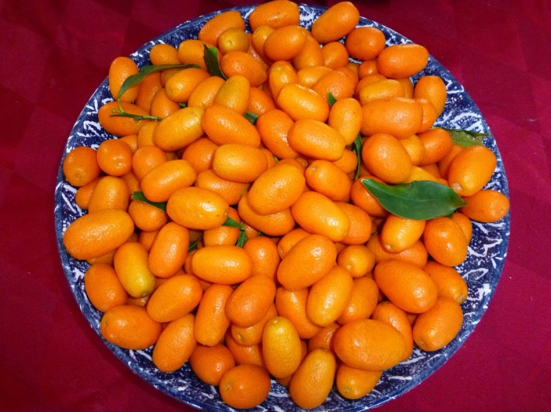 Кумкват Абхазский
