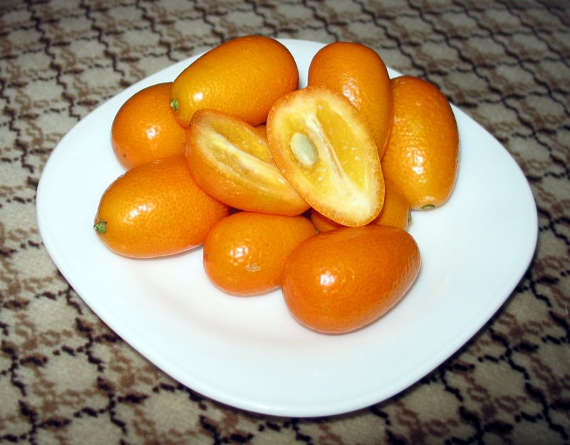Маленький мандарин кумкват