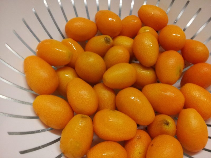 Фрукт кумкват