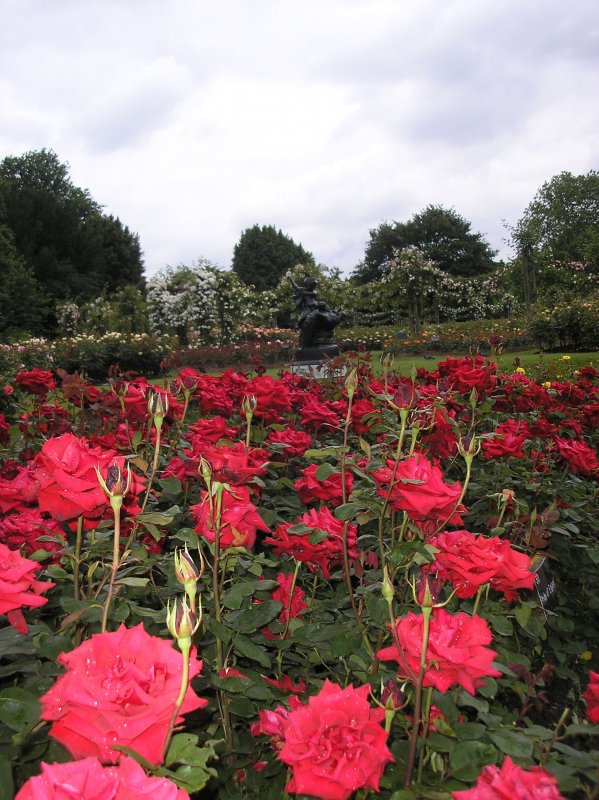 Риджентс-парк (Regent’s Park)