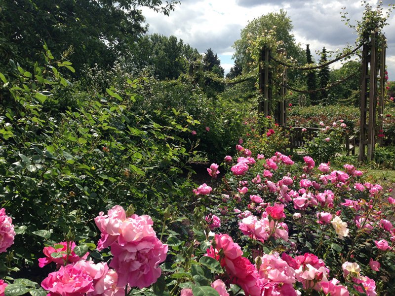 Regent s Park в Лондоне