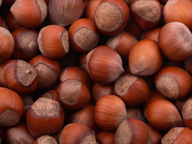 Лесной орех (Hazelnut)