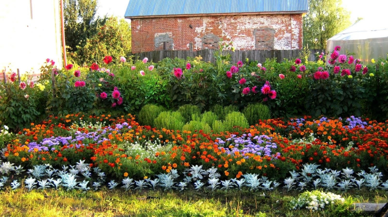 Сибирский палисадник