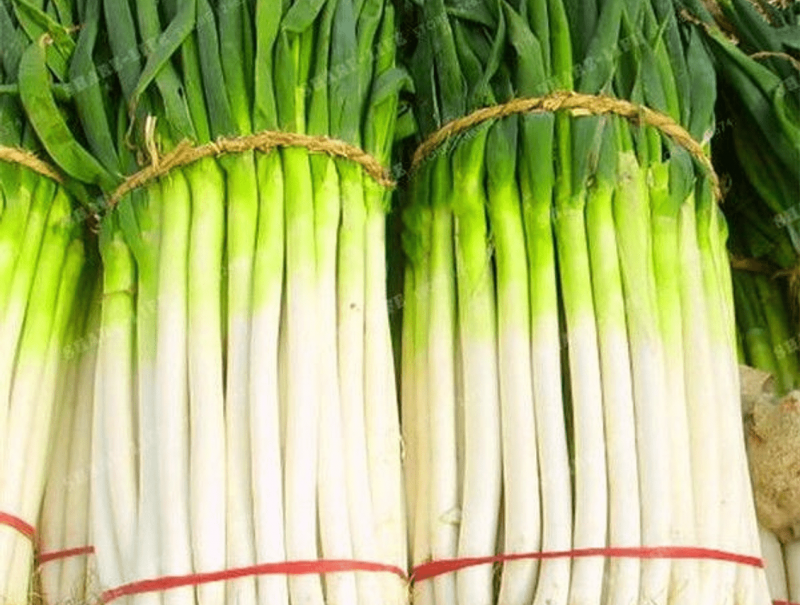 Garlic Chives растение