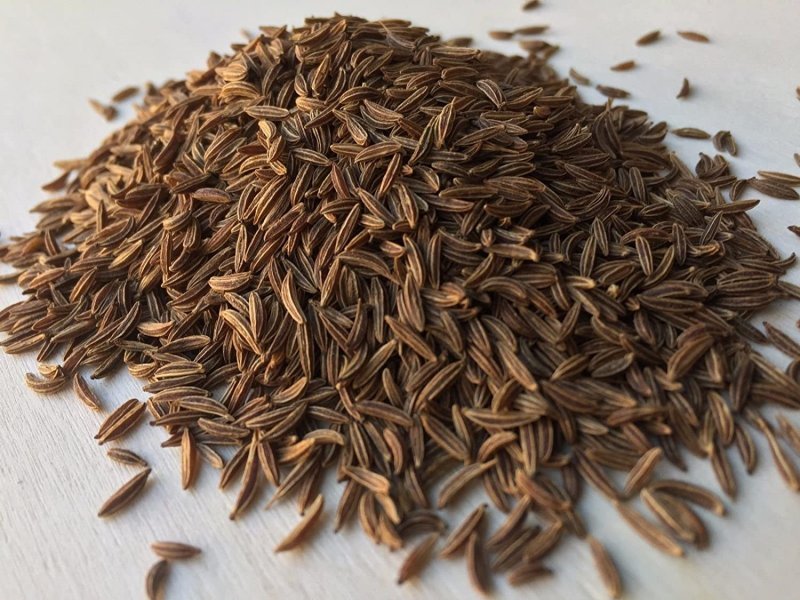 Anise (Pimpinella anisum) соцветие